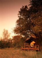 Small safari hut