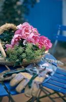 Flowers in basket with gloves