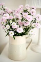 Flowers in jug