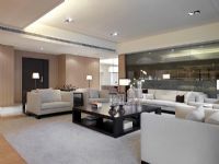 Large modern living room
