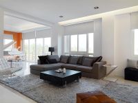 Modern living room with sectional sofa and shag carpet