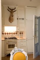 Classic kitchen with animal trophy