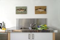 Fish pictures above steel sink