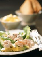 Close-up of a shrimp and avocado salad