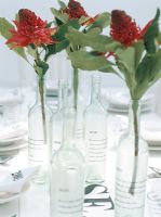 Bottles holding flowers