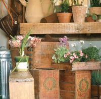 View of pot plants and flower vase on wooden boxes