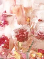 View of roses frozen in ice close-up
