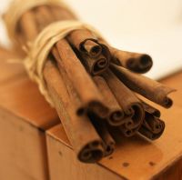 Cinnamon stick tied up with string, close-up