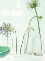 Close-up of flowers in glass bottles