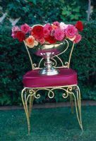 Roses in silver urn on a red chair 