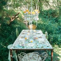 Table setting on table in garden