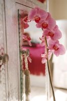 Pink orchid by mirrored cabinet, close-up