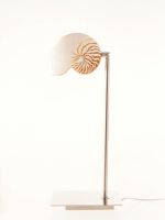 A lamp made out of a nautilus shell