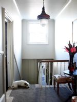 Dog lying at the top of stairs