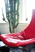 Red chair in modern living room 
