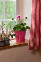 Pink gingham curtains in country bathroom 