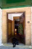 pet dog lying in classic doorway