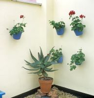 Potted plants in modern courtyard 