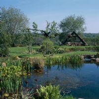 Pond in large country garden 