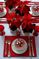 Red and white christmas dining table detail 