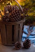 Basket of pine cones detail
