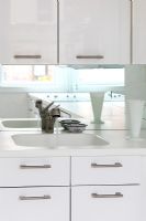 Modern kitchen sink with mirrored splashback