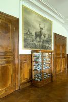 Display cabinet and paneling, detail