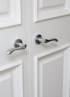 Doors with chrome door handles, detail