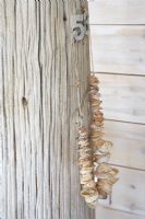 Wooden post with door number and shells