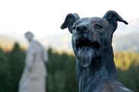 Exterior statue of dog, detail 