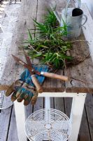 Gardening tools and gloves on country table