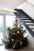 Decorated Christmas tree in modern hallway