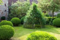 Country garden with topiary