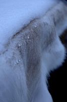 Snow covered fur seat cover, detail