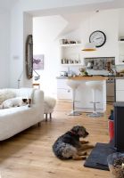 Pet dogs in open plan kitchen and living room