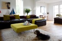 Pet dog on rug in modern living room 