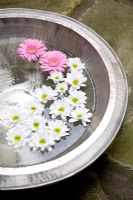Flowers floating in silver bowl