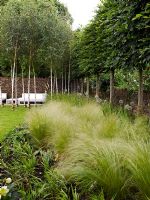 Minimal garden with grasses in border
