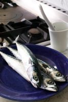 Whole mackerel on a plate 