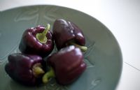 Purple peppers on grey green plate