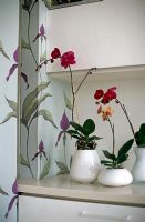 Orchids on built in units
