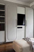 Contemporary living room storage for television
