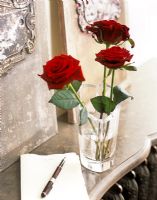 Red Roses in glass vase