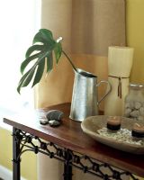 Rubber plant leaf in silver jug 