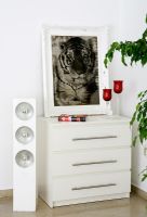White chest of drawers and tiger painting