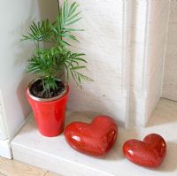 House plant and red hearts
