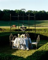 Classic dining table and chairs in field 