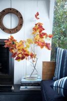 Detail of autumn leaves in vase