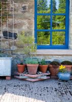 Potted plants outside country house 