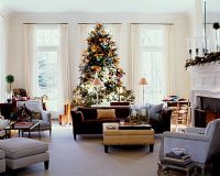 Christmas tree in classic living room 